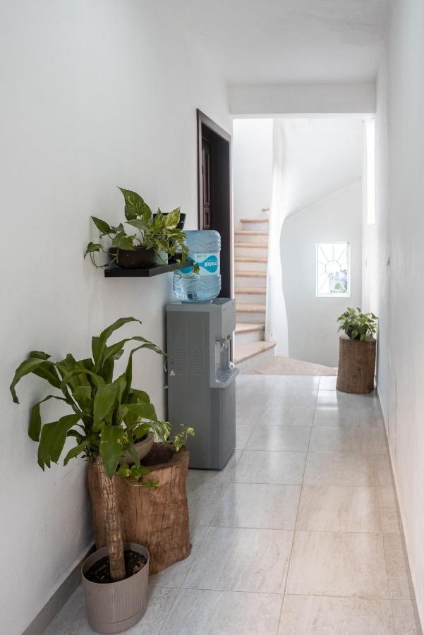 Xiinbal Rooms Bacalar Zewnętrze zdjęcie